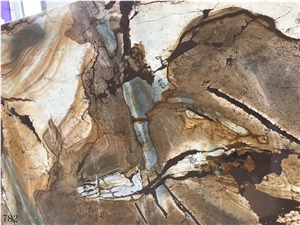 Flamenco Quartzite Palomino Spiderman Classico