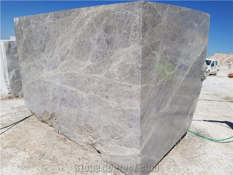 Tundra Silver Spider Gray Marble Blocks