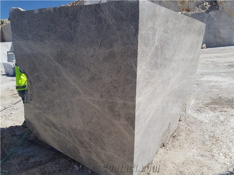 Tundra Silver Spider Gray Marble Blocks
