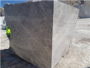 Tundra Silver Spider Gray Marble Blocks