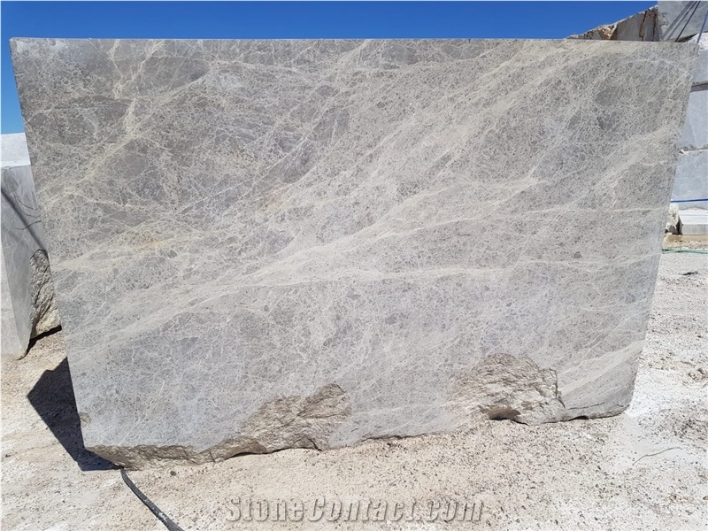 Tundra Silver Spider Gray Marble Blocks