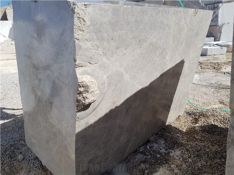 Tundra Silver Spider Gray Marble Blocks