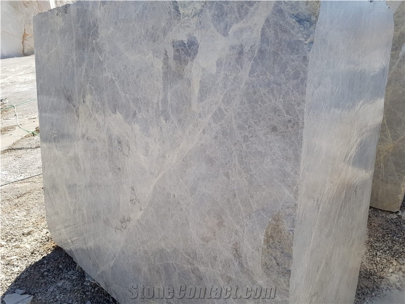 Tundra Silver Spider Gray Marble Blocks