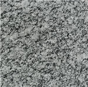 Spary White Granite Thin Tile(1.3cm)