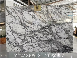 Turkey Marble Iceberg Interior Paving Cladding