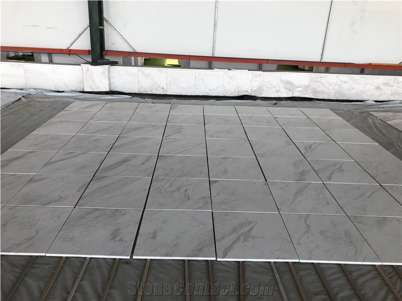 Bianco Venus Marble Slabs and Tiles White Marble