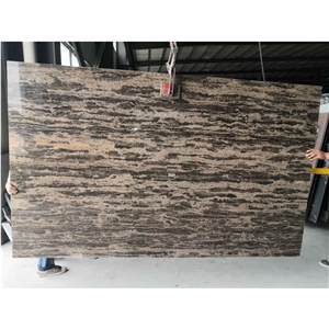 Polished Golden Brown Coast Marble Slabs
