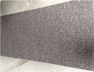 Polished New G664 Granite Flooring Application