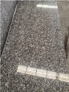 Polished New G664 Granite Flooring Application