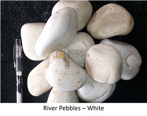 River White Tumbled Pebble Stones