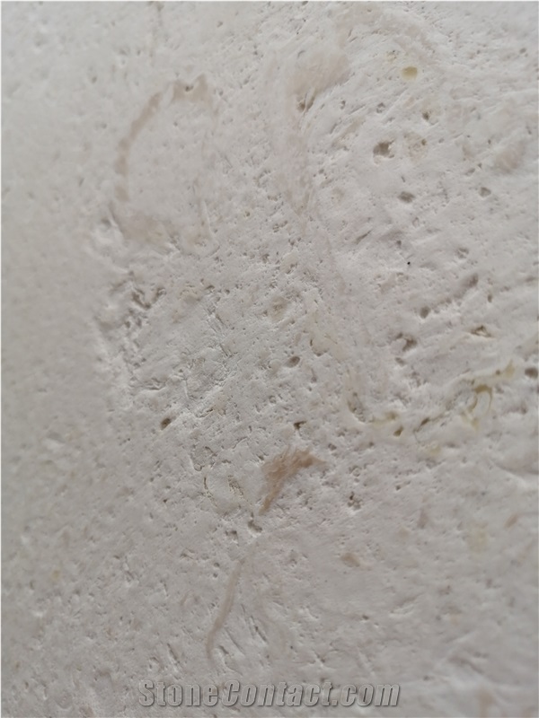 White Coral Stone