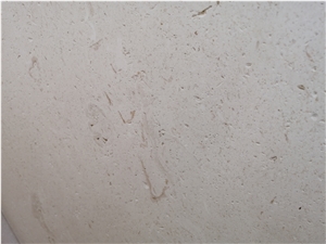 White Coral Stone