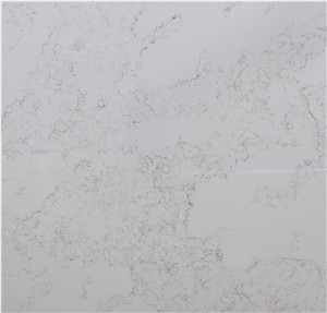 Ivory Cararra Quartz Slabs