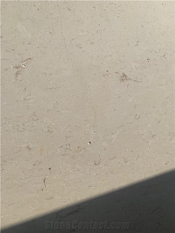 Myra Fosille Limestone Tiles, Myra Limestone Slabs