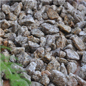 Gs-020 Giallo Cecilia Pebble Gravel Stone