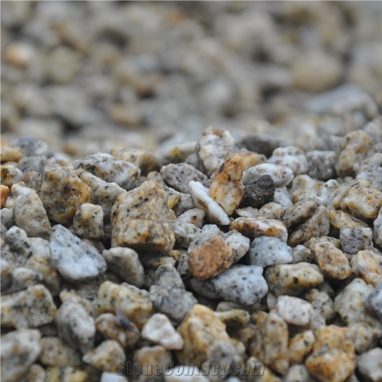 Gs-020 Giallo Cecilia Pebble Gravel Stone