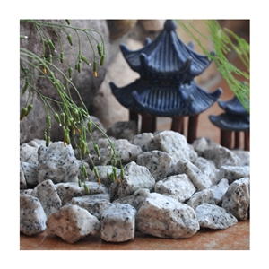 Hot Sale Gs-018 Sesame White Gravel Stone