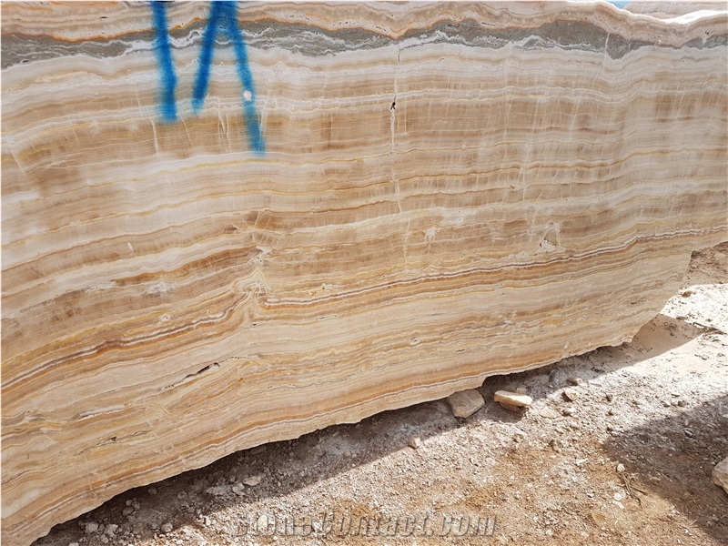 Ligth Traonyx Blocks