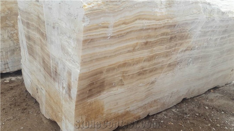Ligth Traonyx Blocks