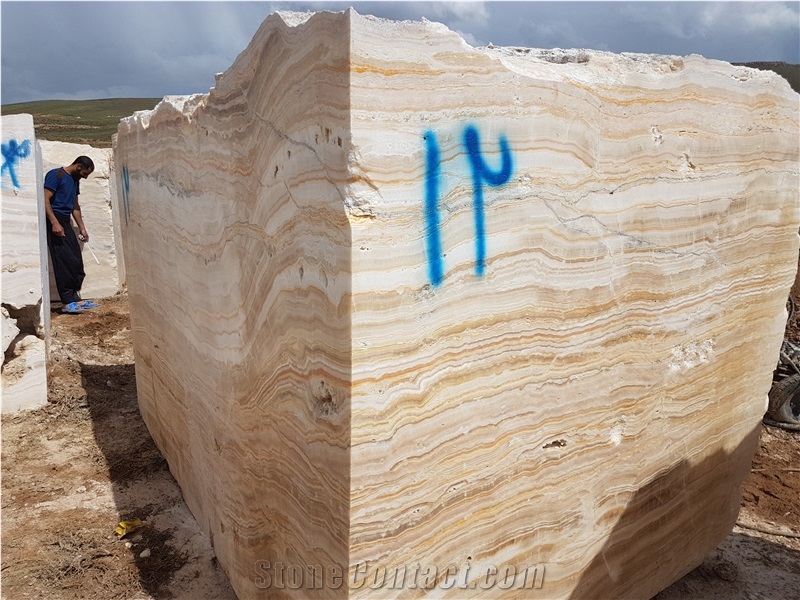 Ligth Traonyx Blocks