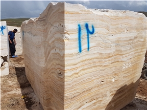 Ligth Traonyx Blocks