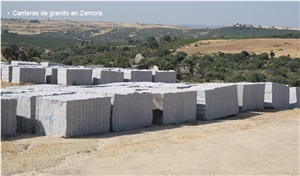 Granito Silvestre Duero Blocks