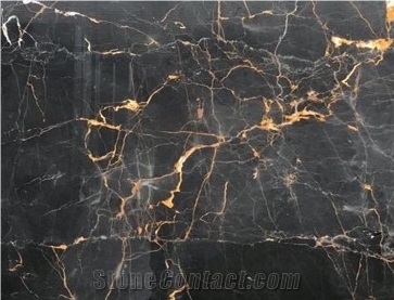 Golden Galaxy Marble Tiles & Slabs