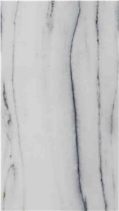 Makrana Dark Grey Veined Marble