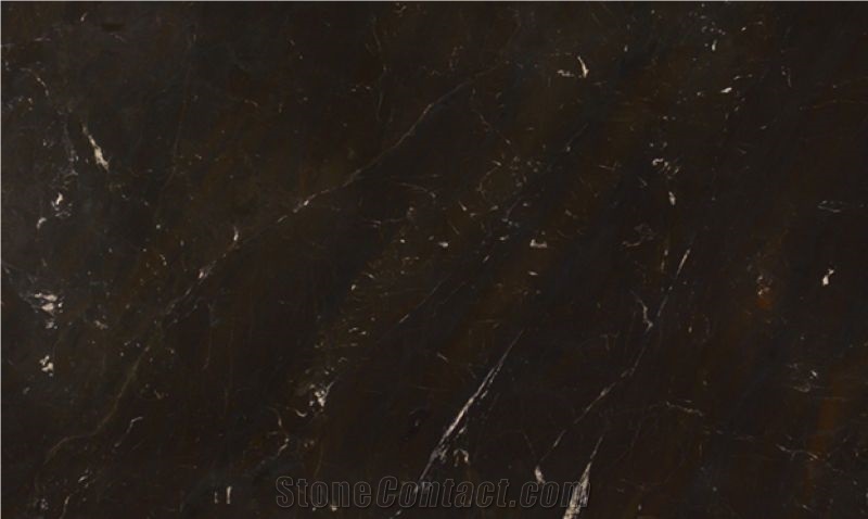 Amarula Quartzite Slabs