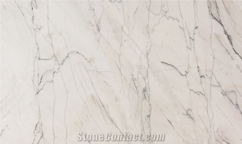 Calacatta Supreme Quartzite Slabs