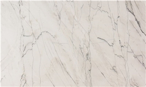 Calacatta Supreme Quartzite Slabs Calacatta Supreme Quartzite Slabs