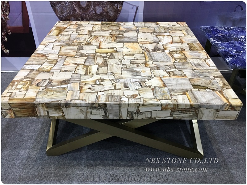Square Cutting Natural Fossil Petrified Wood Table