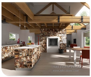 Square Cutting Natural Fossil Petrified Wood Table