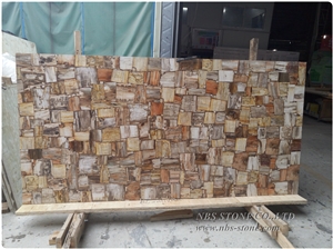 Square Cutting Natural Fossil Petrified Wood Table