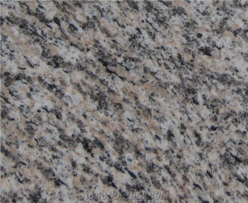 China Tiger Skin Red Granite Bullnose Countertop for Kitchen