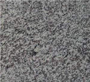 Tiger Skin White Granite Bar Top / Kitchentop