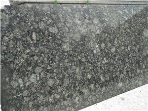 Verde Butterfly Green Granite Slab Factory in Stock