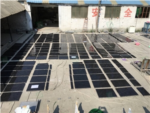 China Butterfly Blue Granite Phalaenopsis Granite