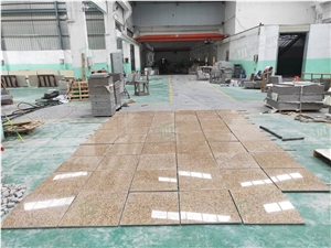 Vietnam Rust Granite Yellow Stone Floor Tiles
