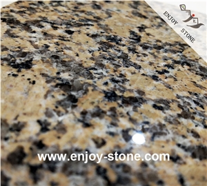 Karamori Gold Granite Polished Slabs & Tiles