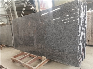 New G654 China Impala Black Granite Slabs