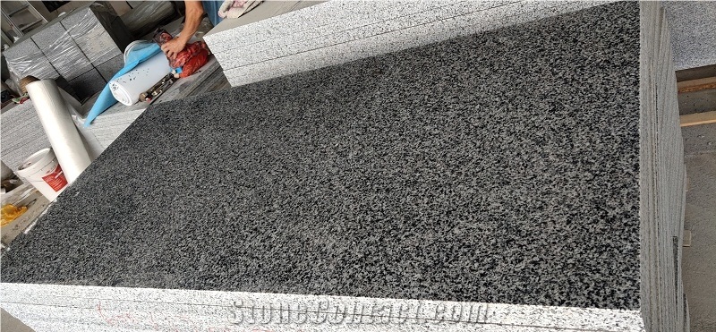 New G654 China Impala Black Granite Slabs