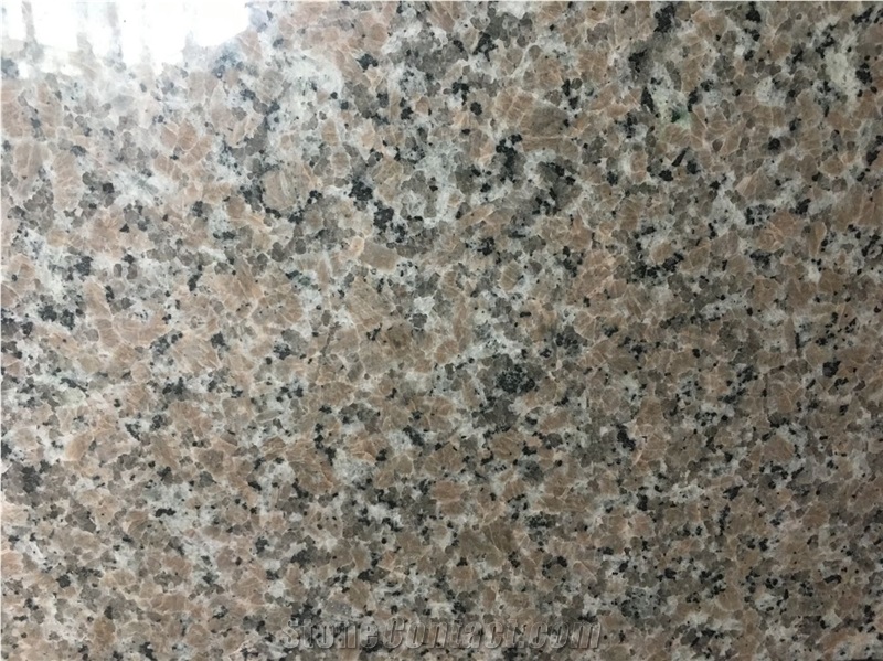 New Rosa Porrino Granite Slabs Pink Random Slab