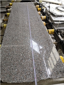New Rosa Porrino Granite Slabs Pink Random Slab