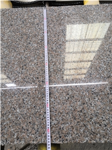 New Rosa Porrino Granite Slabs Pink Random Slab