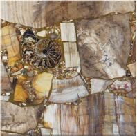 Semiprecious Stone, Wood Fossils (Round)