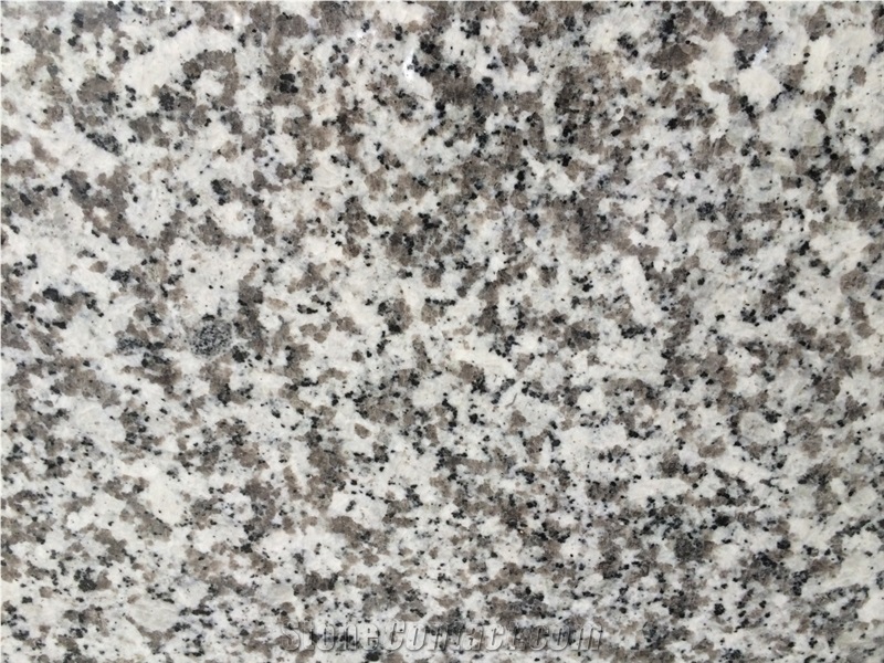 G439 White Flower Granite Slabs Polished