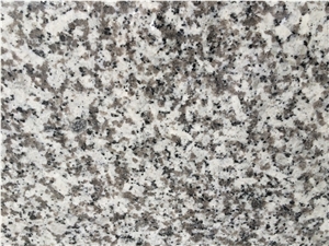 G439 White Flower Granite Slabs Polished G439 White Flower Granite Slabs Polished