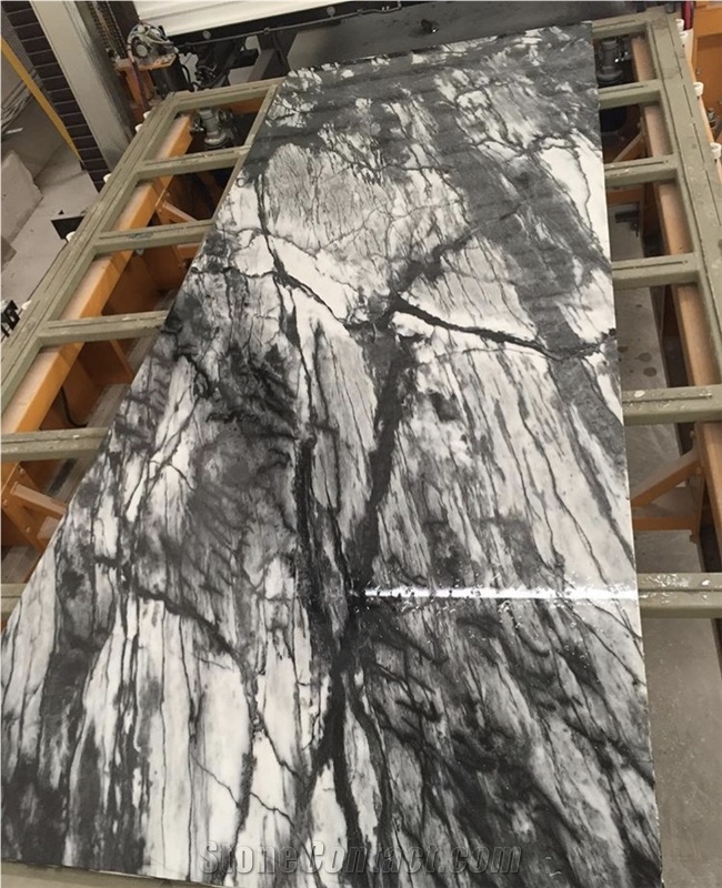Black Sparrow Marble Tiles & Slabs