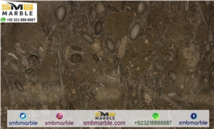 Fossil Gray Limestone Slabs & Flooring Indoor